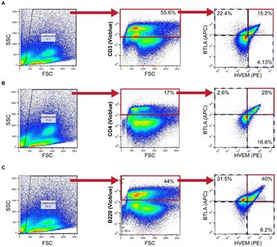 Lymphocyte HVEM/BTLA co-expression after critical illness demonstrates severity indiscriminate upregulation, impacting critical illness-induced immunosuppression